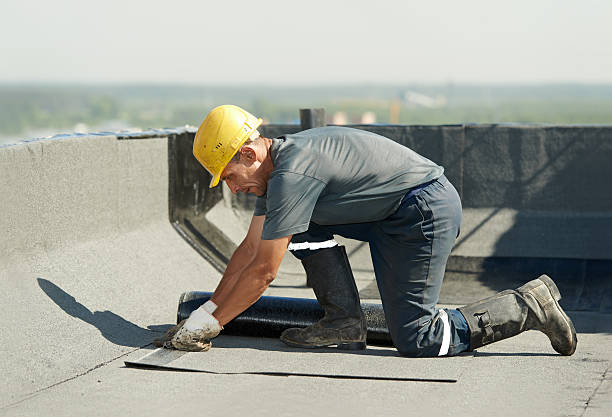 Best Residential Insulation in Carnesville, GA